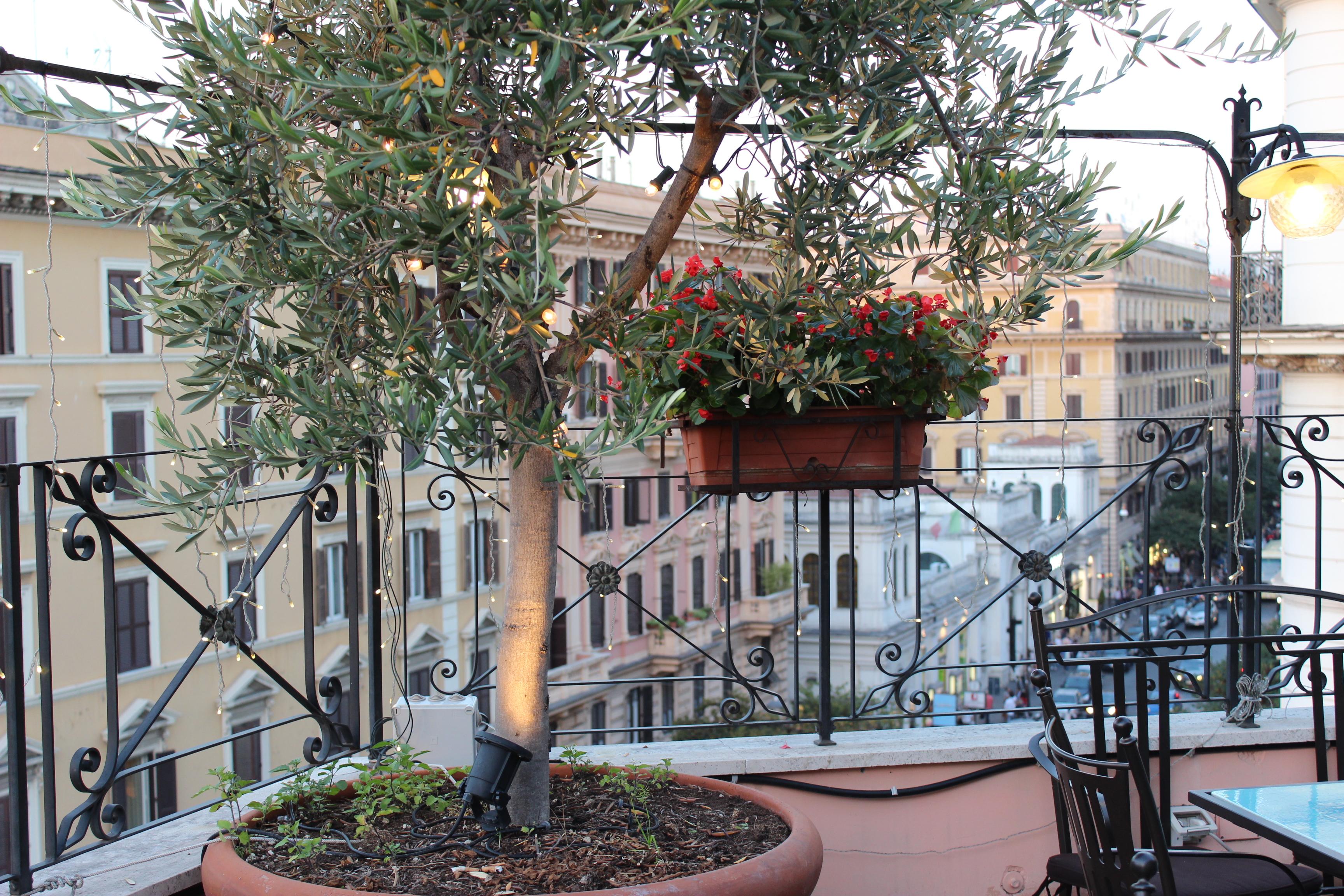 Hotel Dei Consoli Vaticano Roma Eksteriør bilde