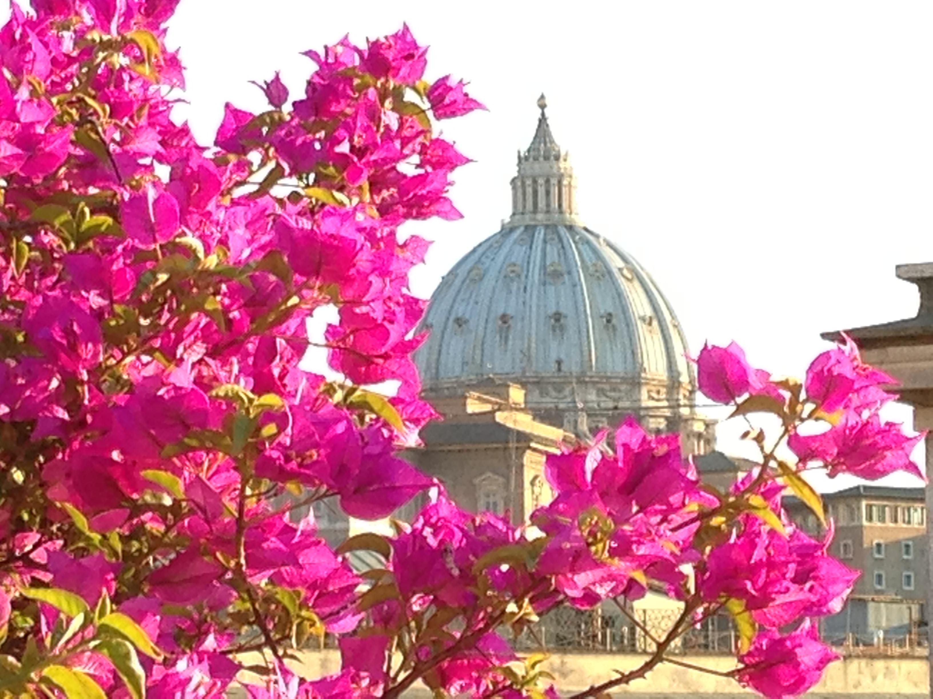 Hotel Dei Consoli Vaticano Roma Eksteriør bilde