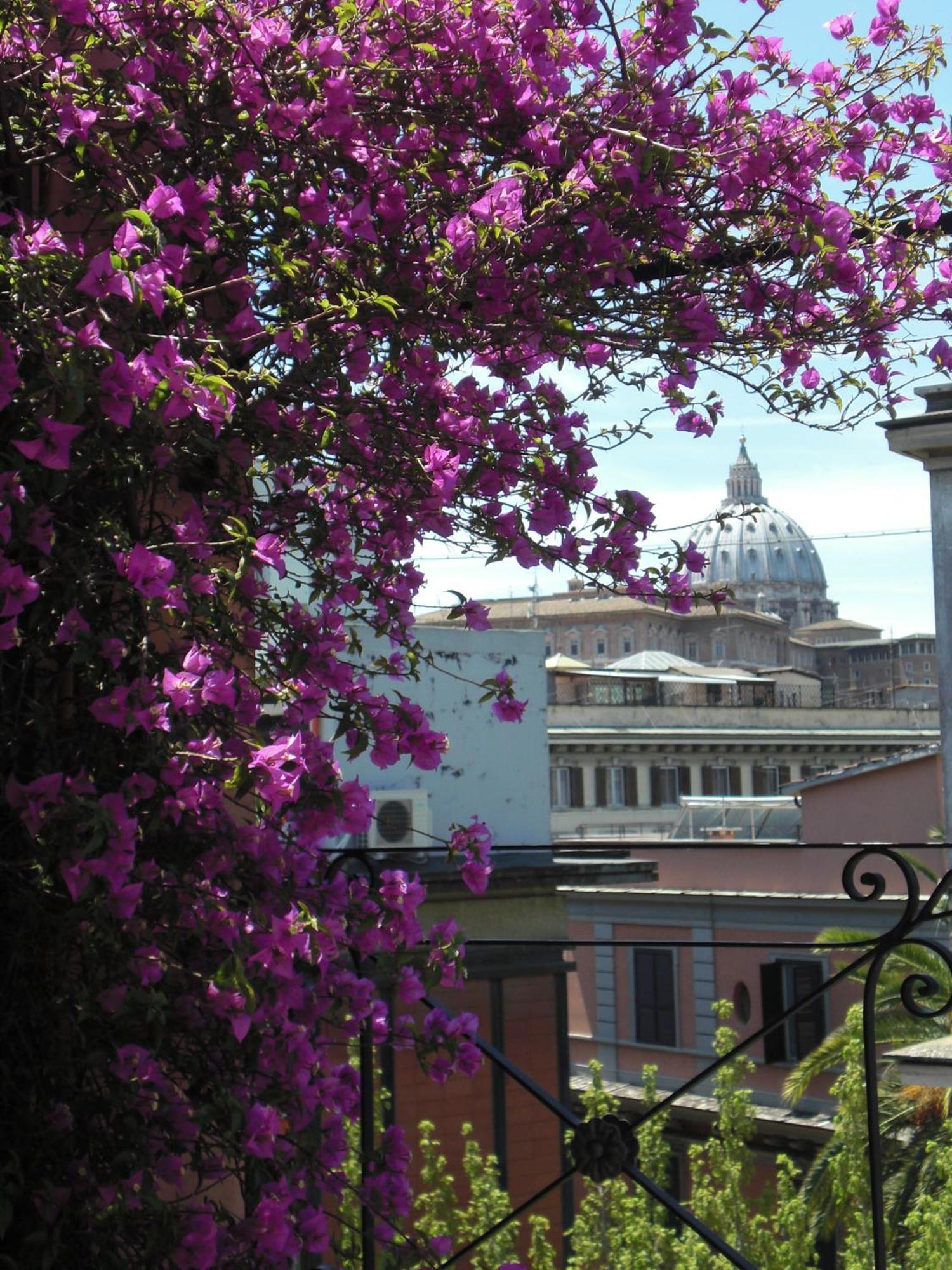 Hotel Dei Consoli Vaticano Roma Eksteriør bilde